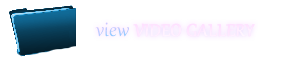 Video Gallery