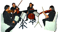 Busbar String Quartet